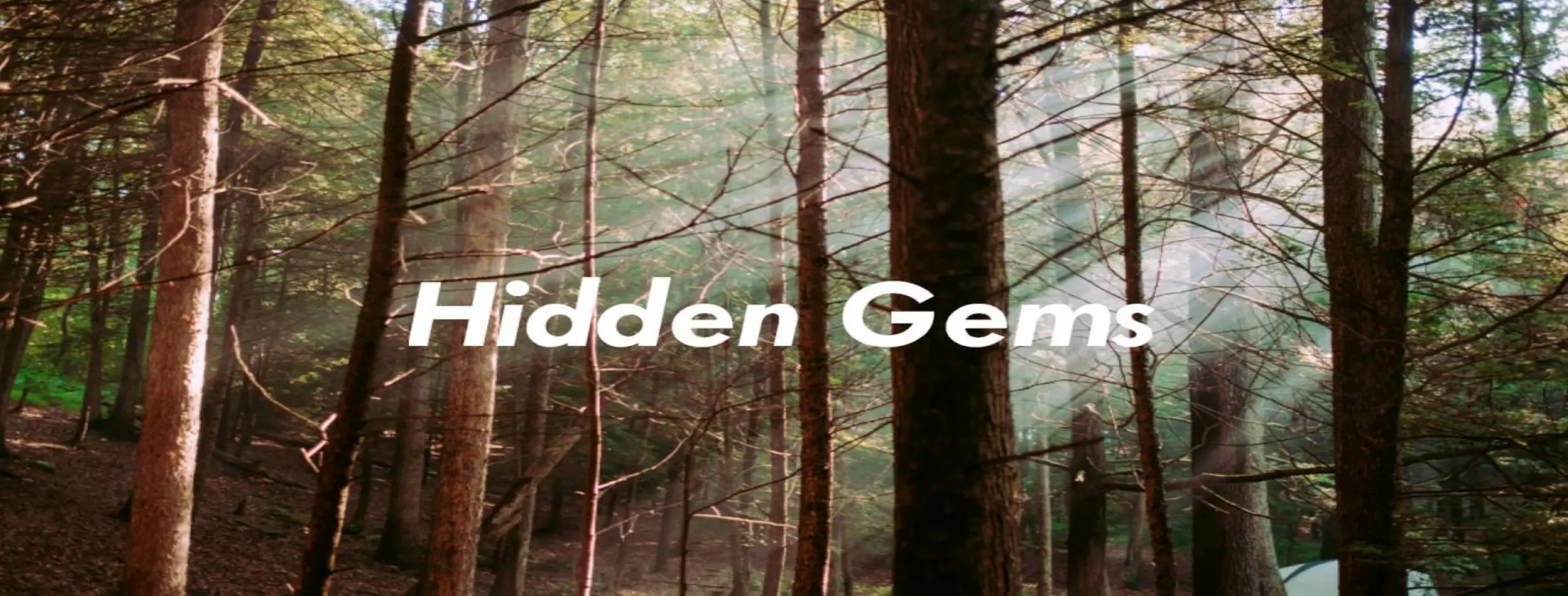 Image for Uncover Hidden Gems